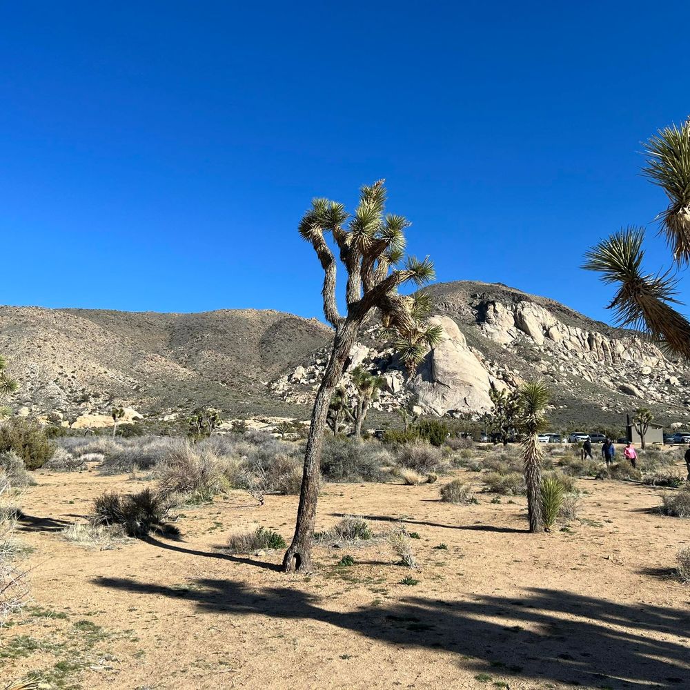 Meet your Posher, Stasia